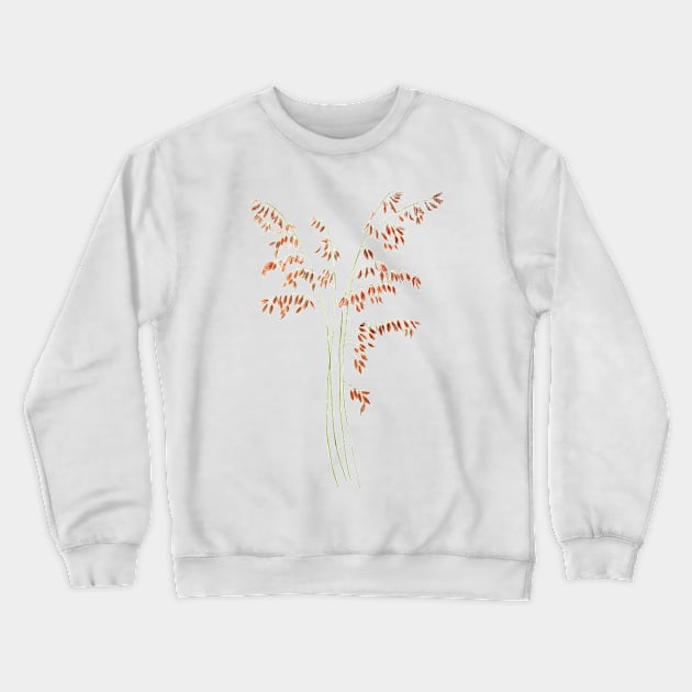 smooth brome grass seed head watercolor Crewneck Sweatshirt by colorandcolor